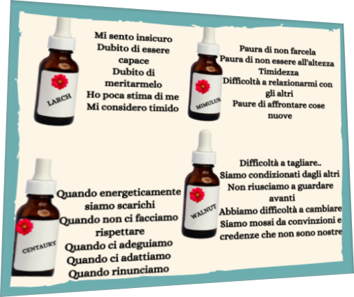 alcuni fiori utili per l'autostima